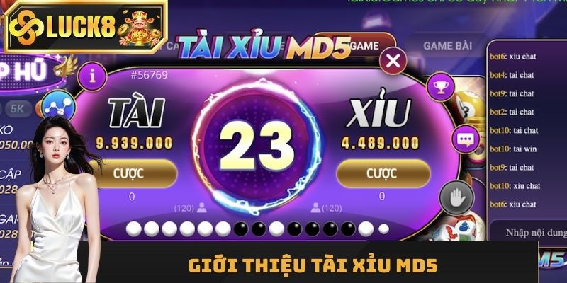 Tài Xỉu MD5 đầy thú vị để trải nghiệm